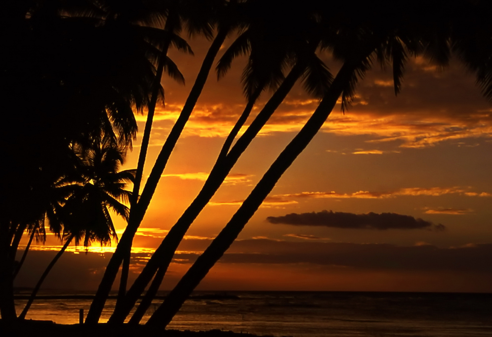 Caribbean Sundowner auf San Andrés Island