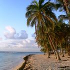 Caribbean sunrise