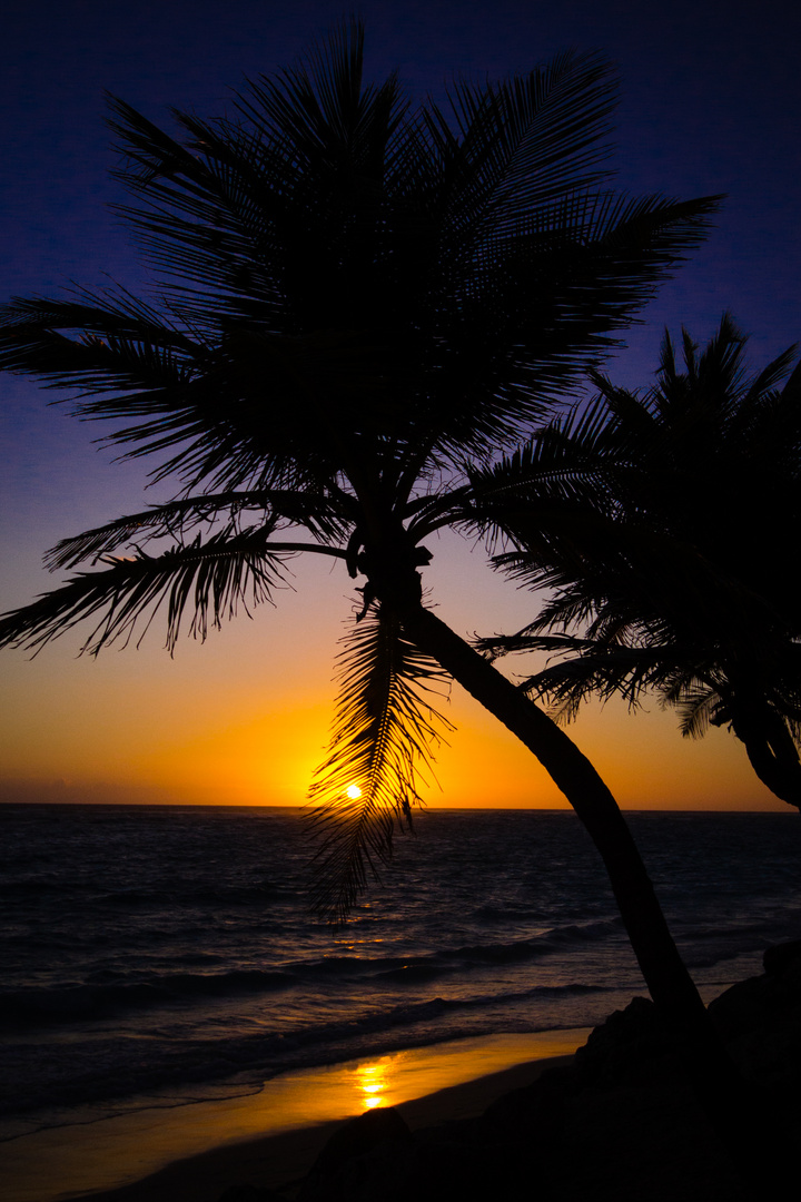 Caribbean sunrise