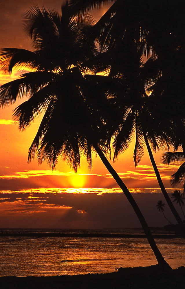 Caribbean Sunset