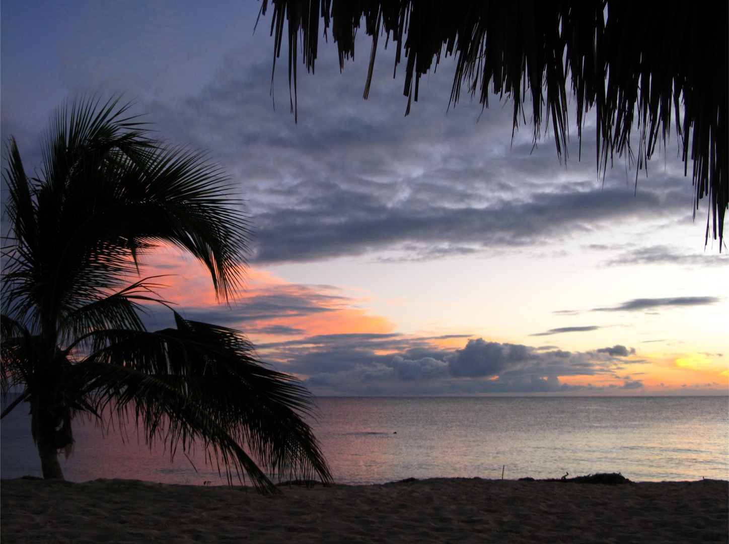 Caribbean Sunset