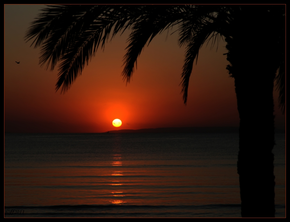 ... Caribbean sunset in France ...