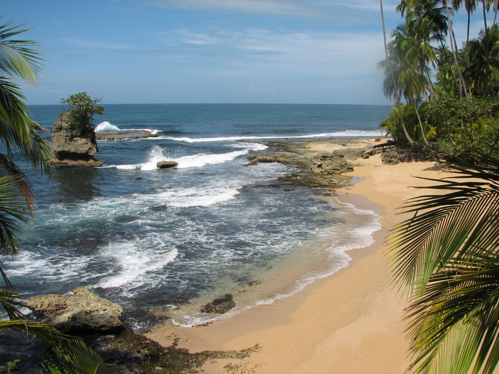 Caribe en estado Puro