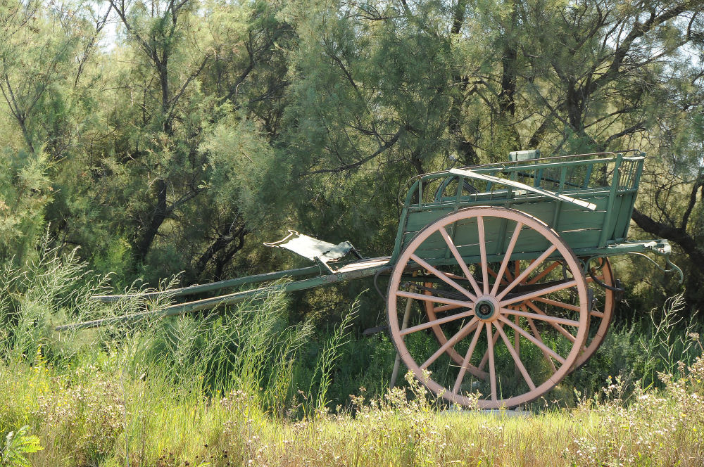 Cariole en Camargue