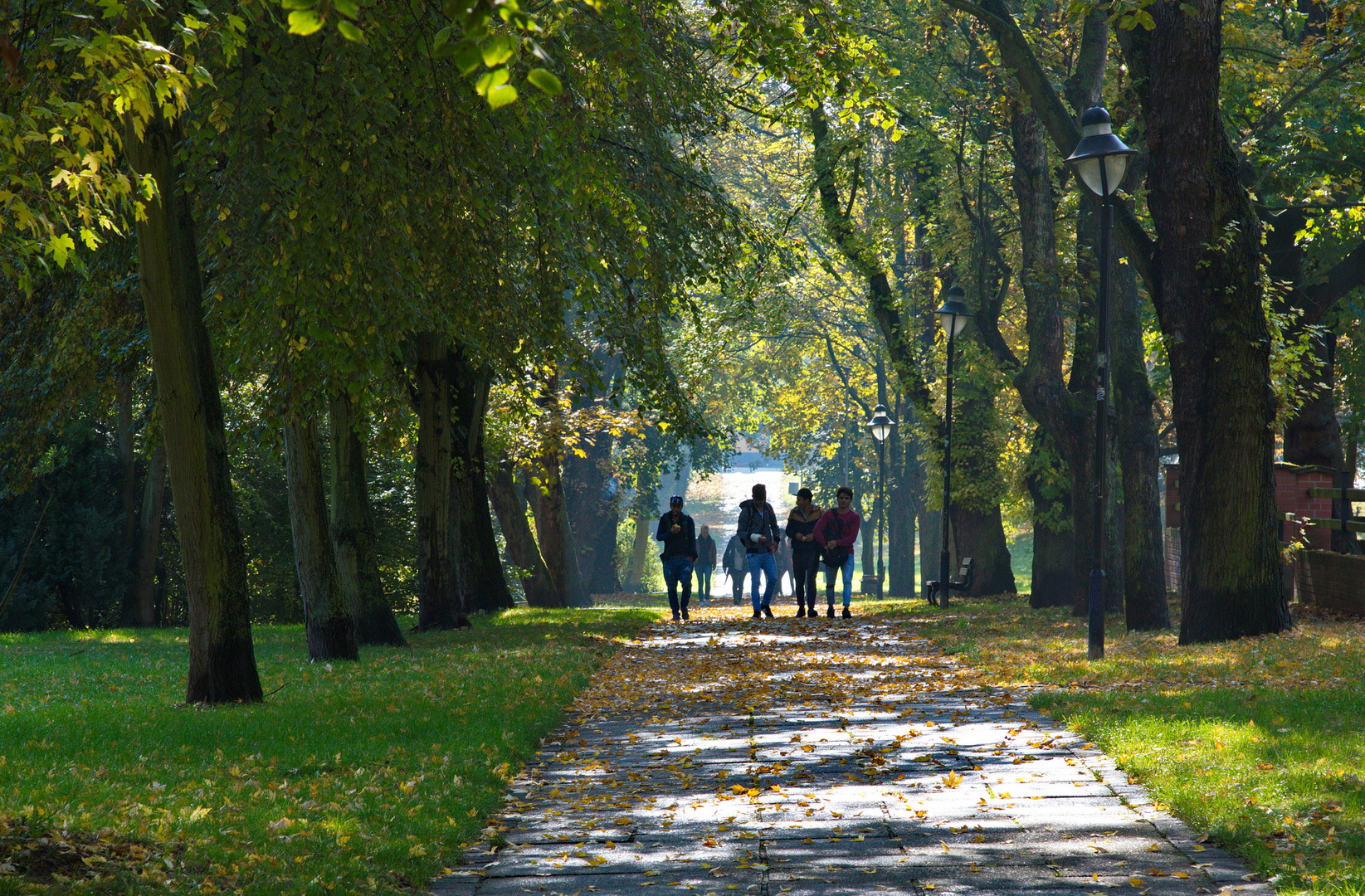 Carl-Eitz-Weg im Stadtpark von Lutherstadt Eisleben