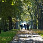 Carl-Eitz-Weg im Stadtpark von Lutherstadt Eisleben