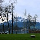 Carl Spitteler-Quai Luzern mit Blick auf ...