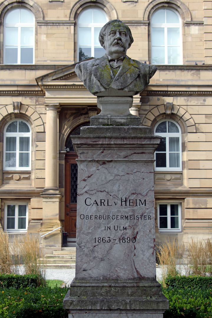 Carl von Heim Denkmal in Ulm
