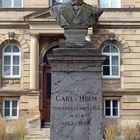 Carl von Heim Denkmal in Ulm