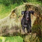 Carla - Leben in der Natur