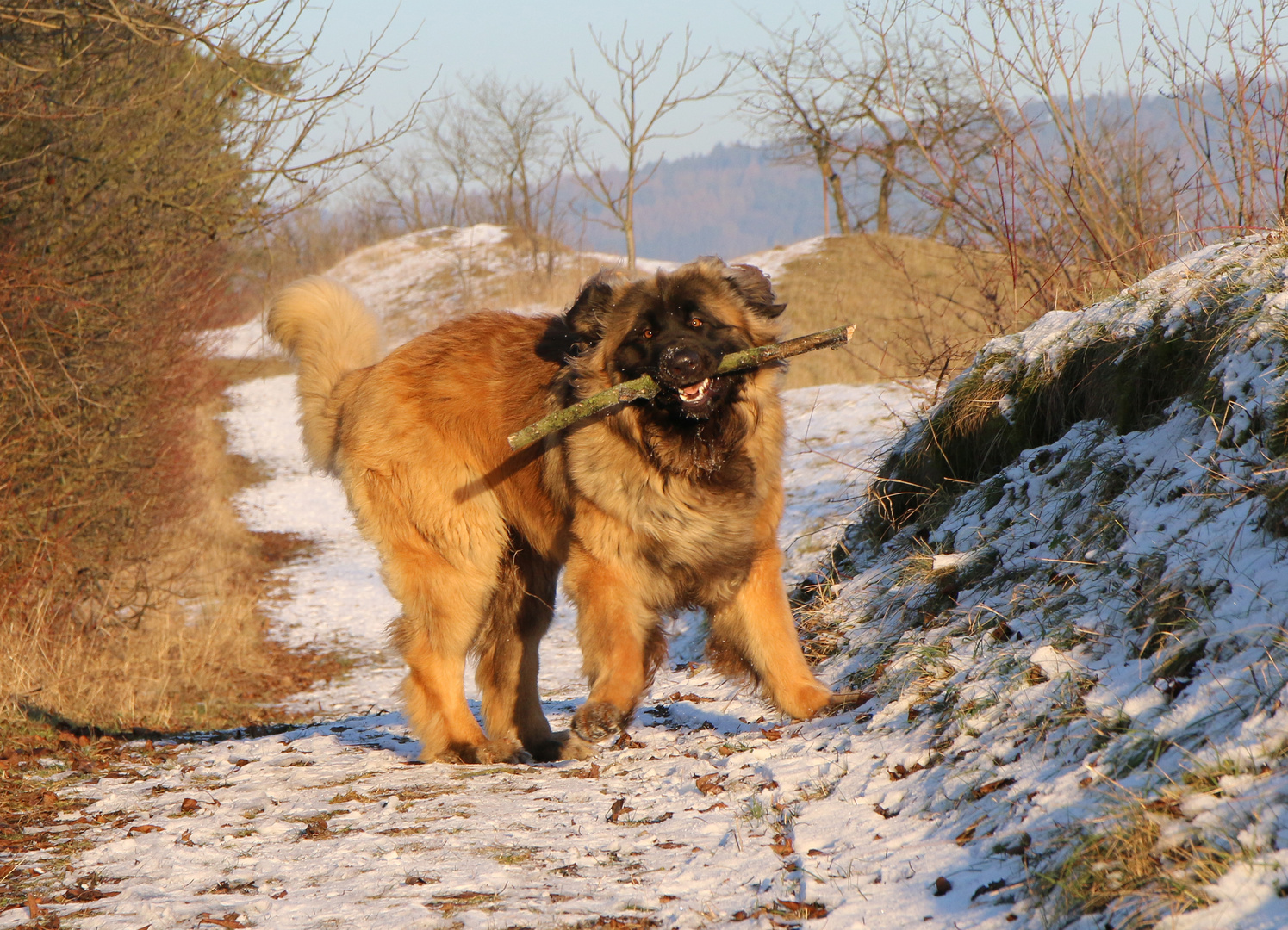 Carlchen beim Spielen