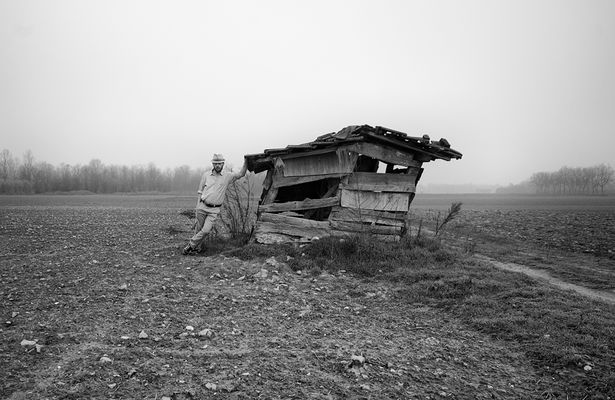 Carlo Ferrara - PORTFOLIO "L' ironia del selfie"  - misaligned  2