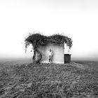  Carlo Ferrara - PORTFOLIO "L' ironia del selfie" small-houses  1