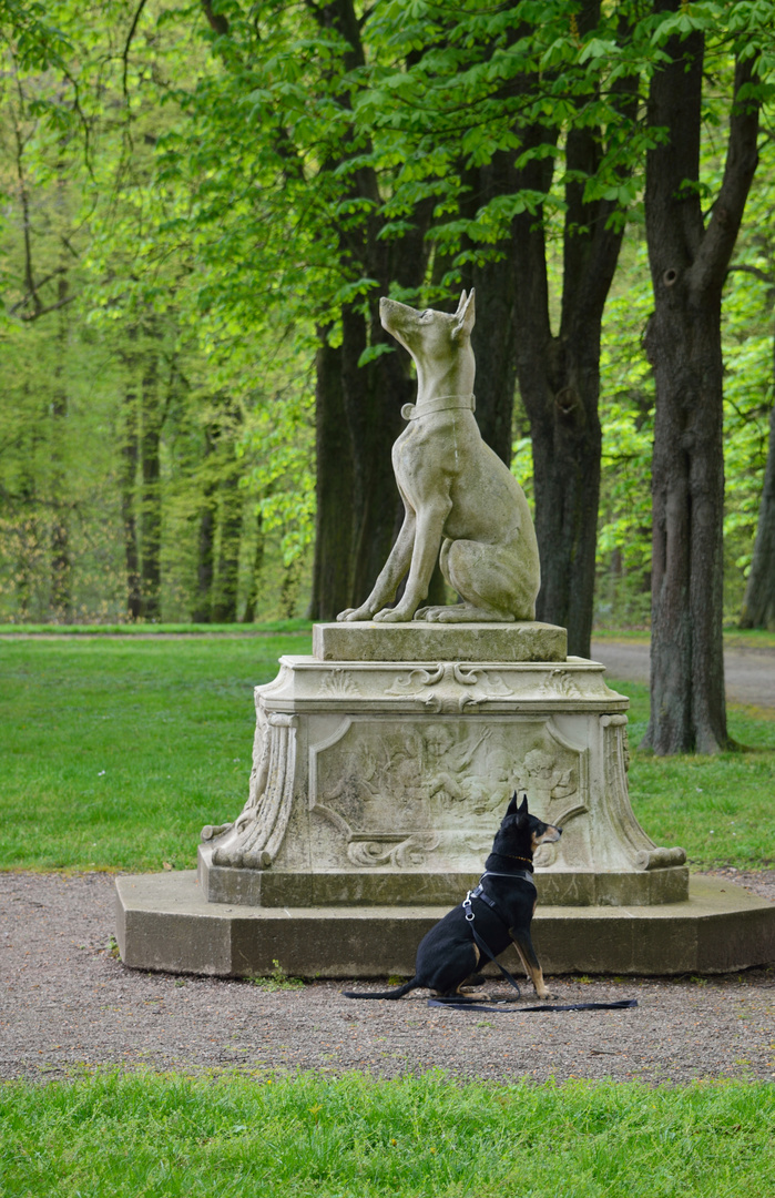 Carlo im Schloßpark