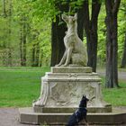 Carlo im Schloßpark