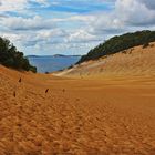 * Carlos  Sand Blow  / Rainbow Beach *