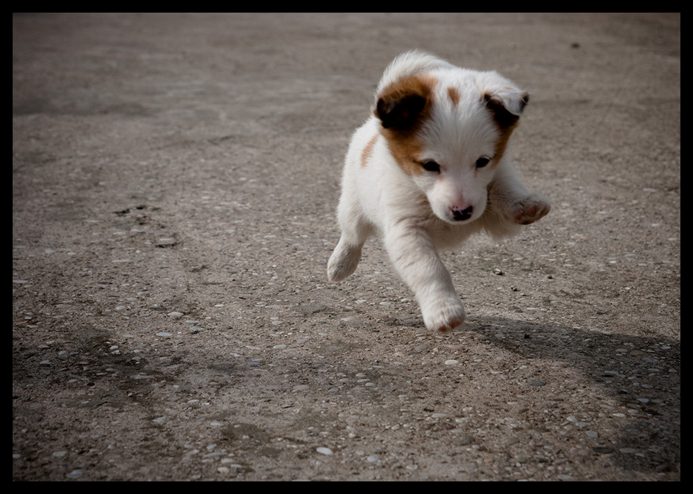 Carlotta flying