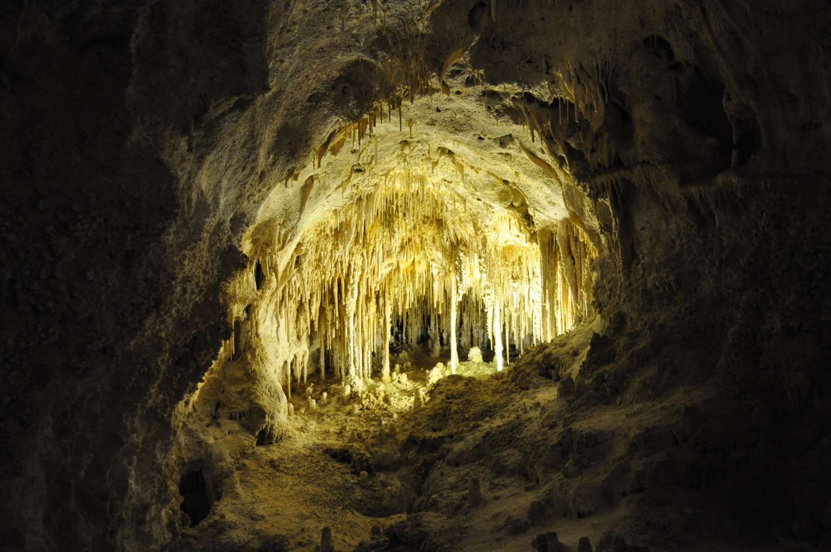 Carlsbad Caverns 4