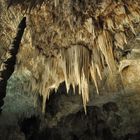 Carlsbad Caverns 5