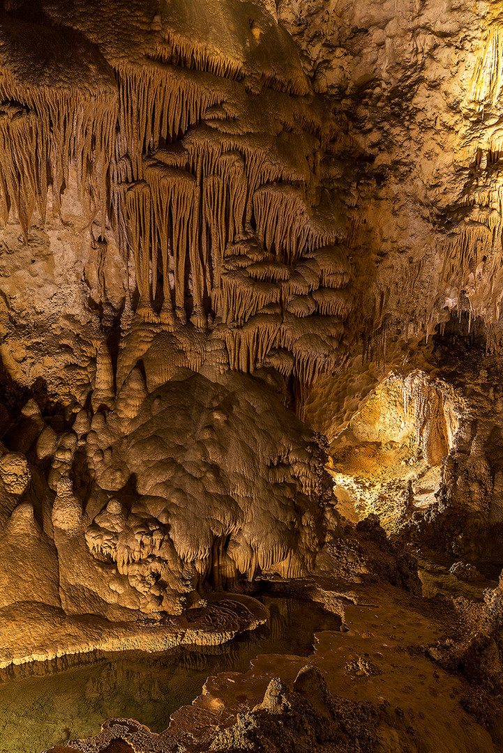 Carlsbad Caverns I