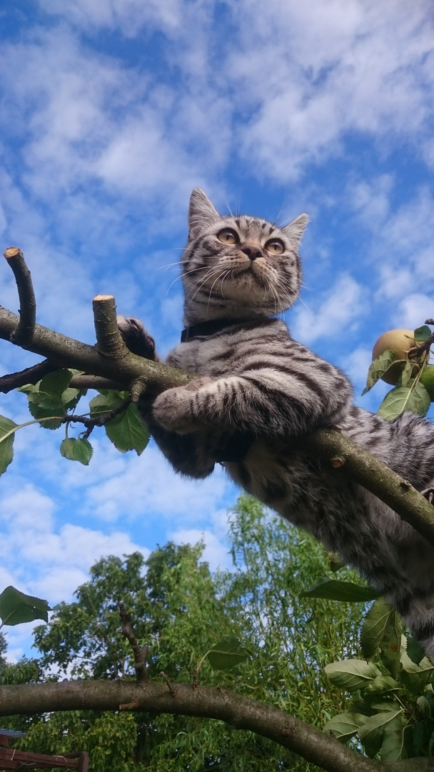 Carly in der Sonne