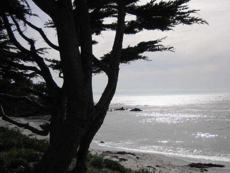 Carmel / Big Sur / Kalifornien 2006