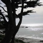 Carmel / Big Sur / Kalifornien 2006