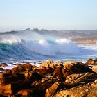 Carmel by the sea