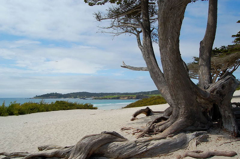 Carmel by the sea