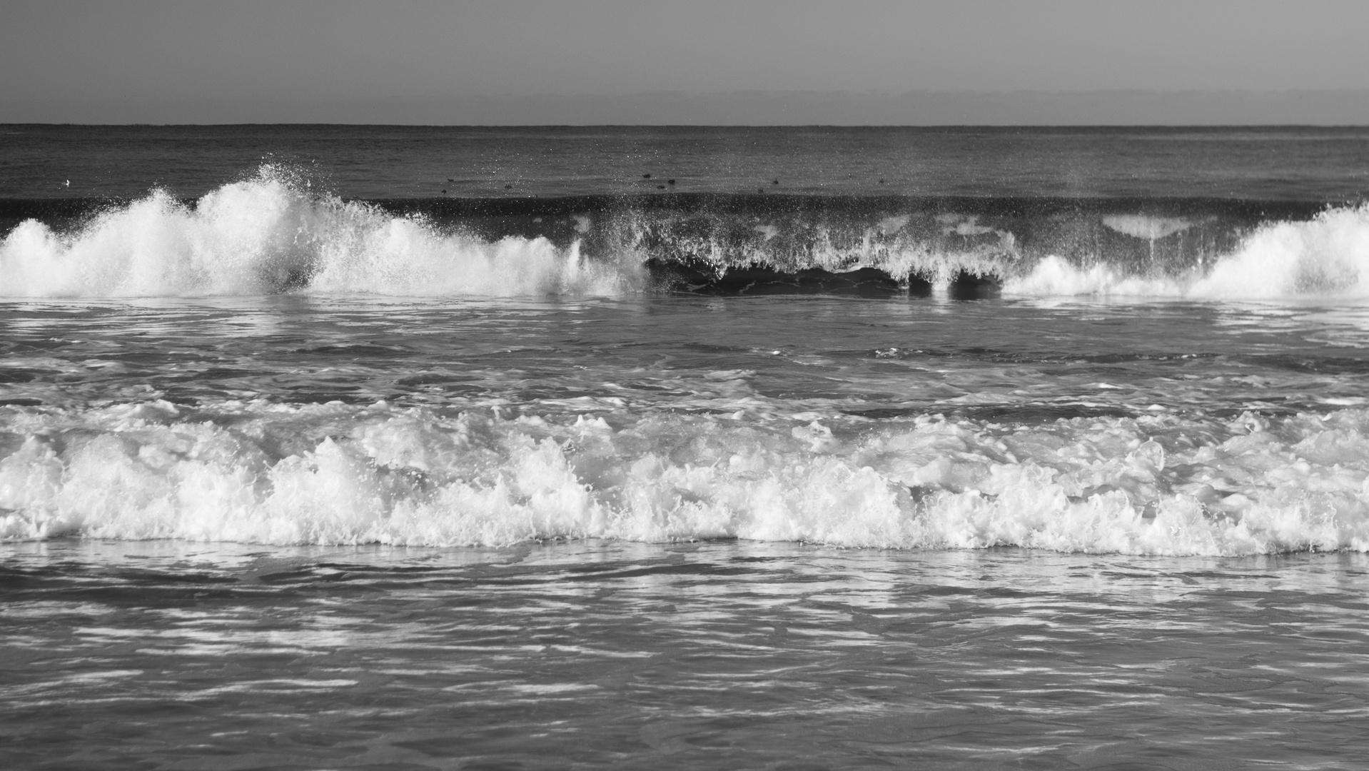 Carmel Waves