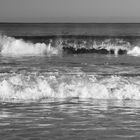 Carmel Waves