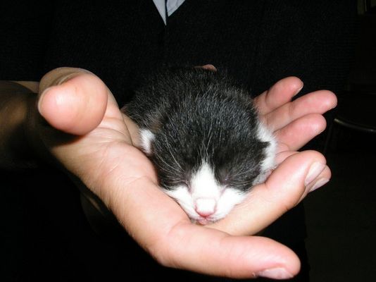 Carmina`s erster Tag