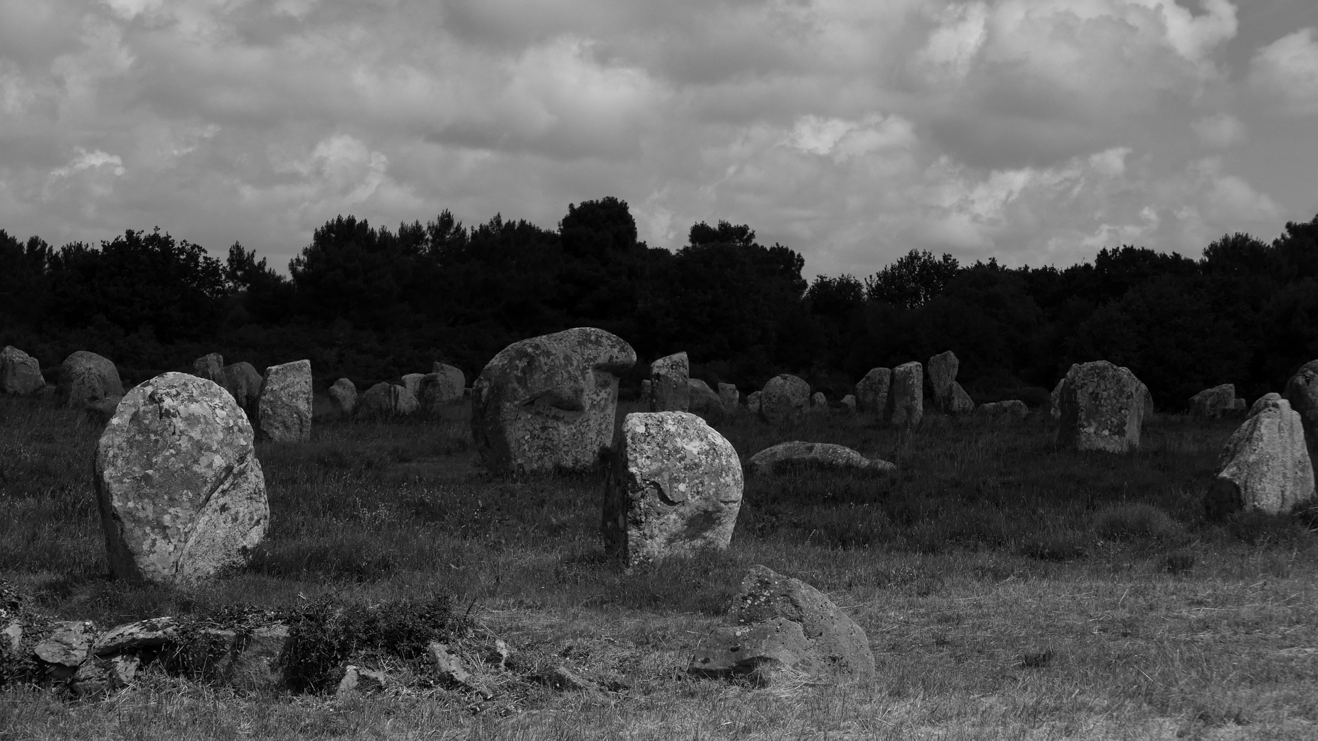 carnac alignements du ménec