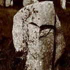 Carnac - Menhir