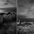 Carnac- Menhirs