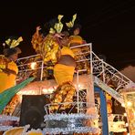 carnaval 11