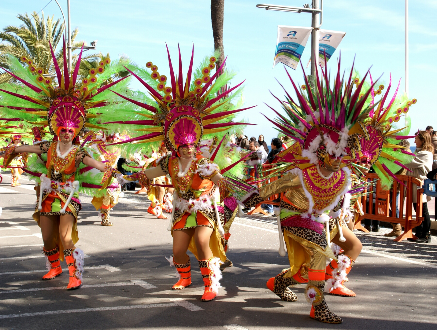 carnaval 2014