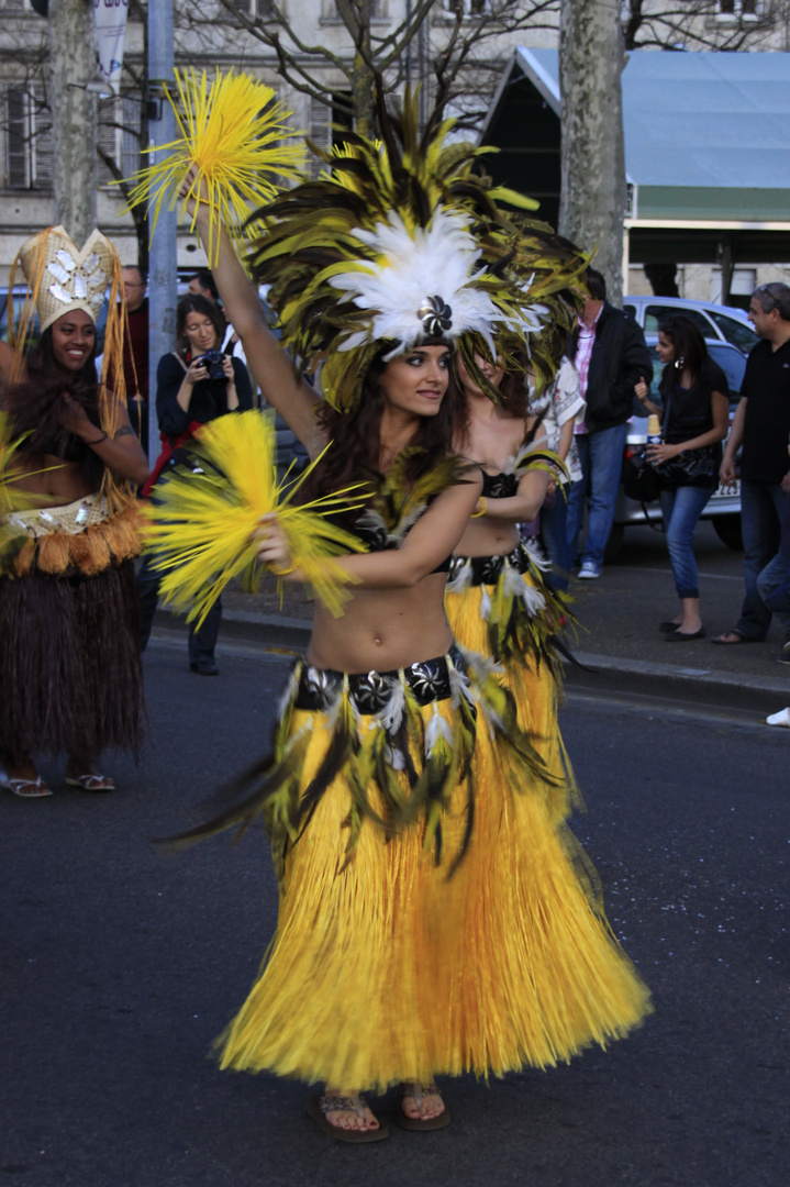 carnaval d'Agen