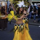 carnaval d'Agen