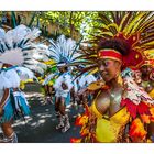 Carnaval tropical 2015