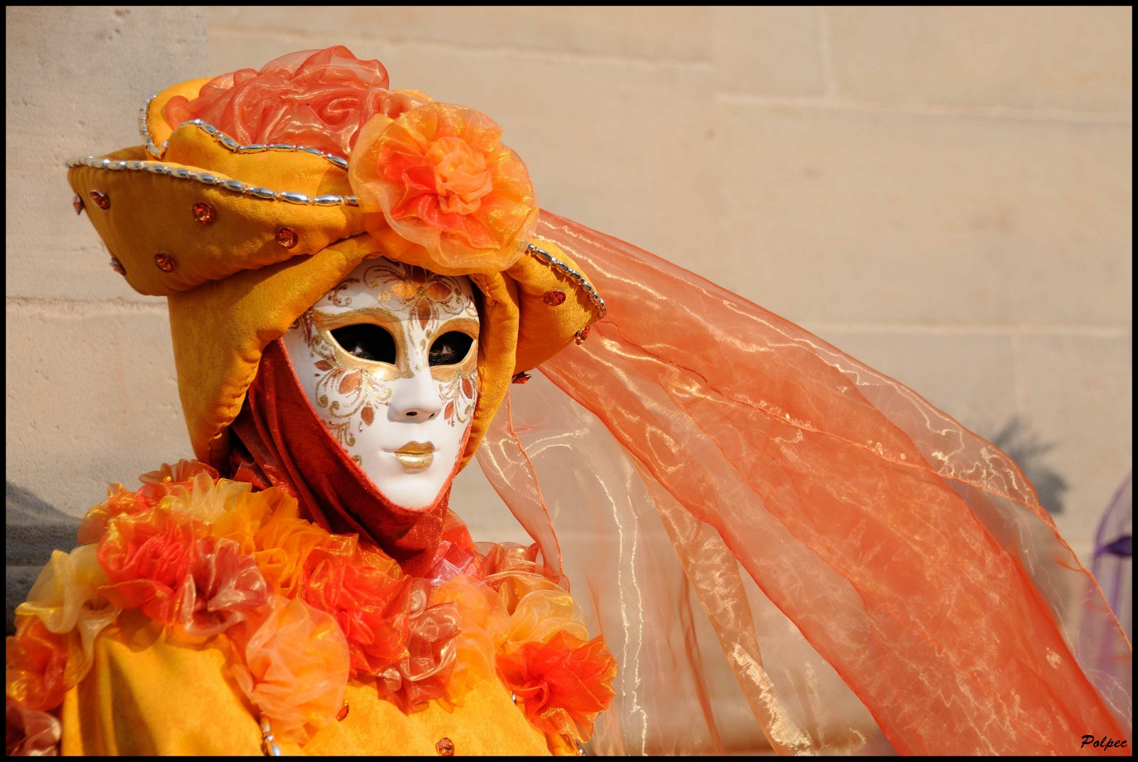 CARNAVAL VENITIEN REMIREMONT 2012 (1)