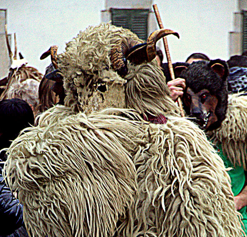 Carnavales Navarra.