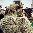 Carnavales Navarra.