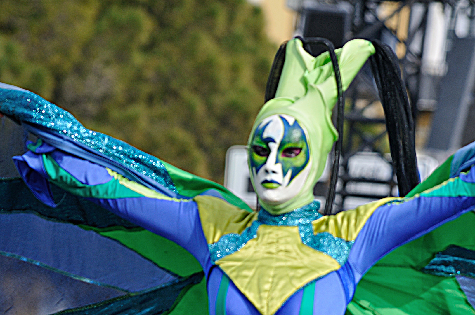 Carneval in Nizza DSC_3939