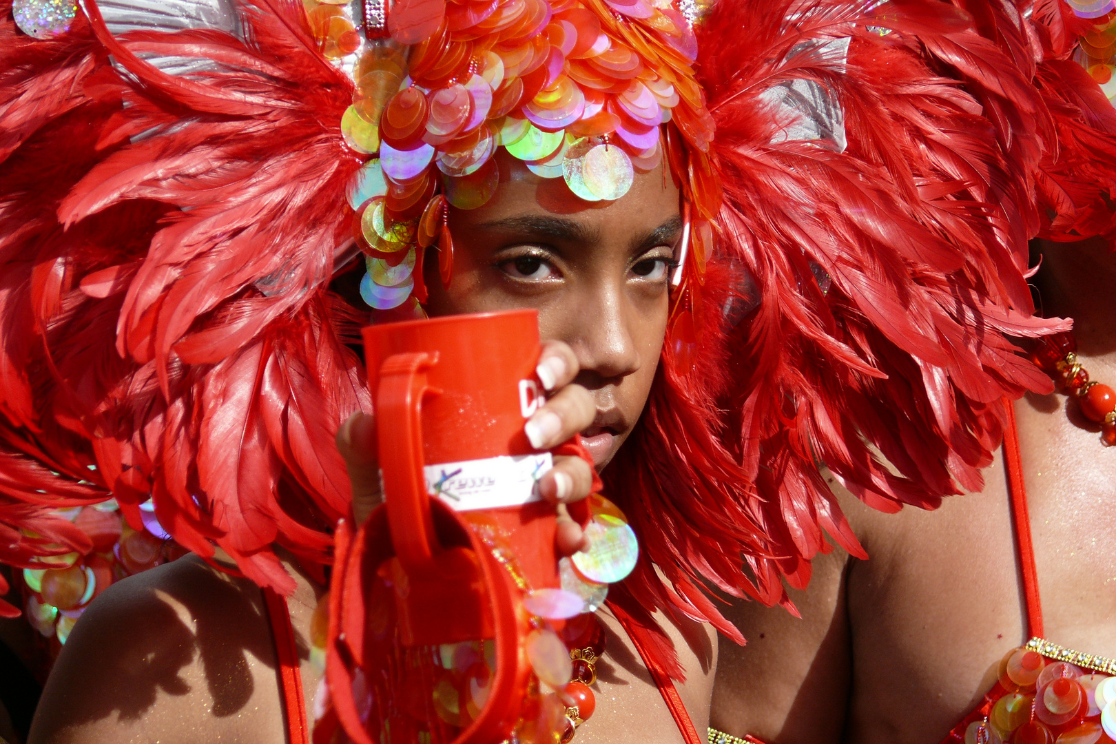 Carneval in Trinidad