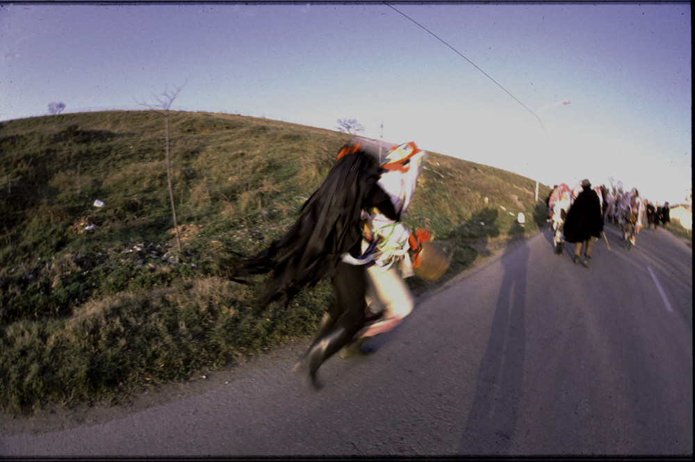 Carnevale di tricarico 1982 ricerca antropologica