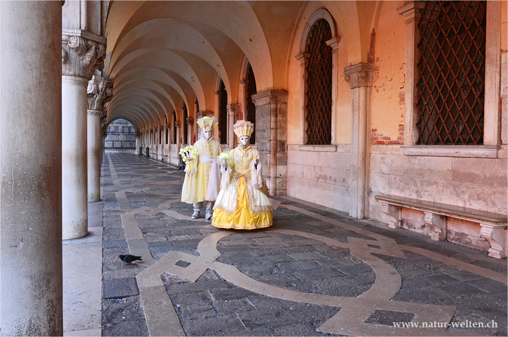 Carnevale di Venevzia II