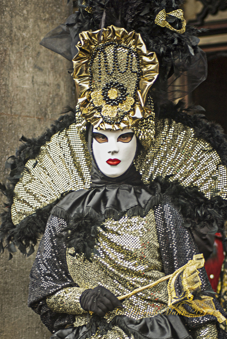 carnevale di Venezia 2011