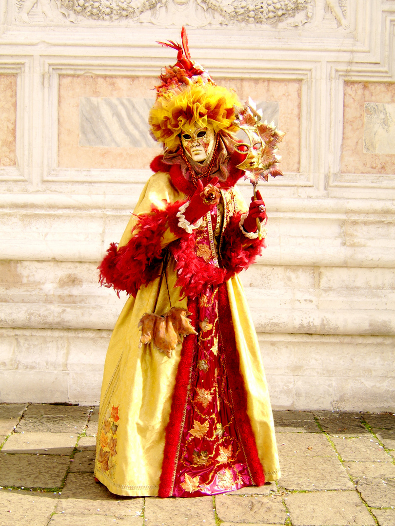 carnevale di venezia 2011