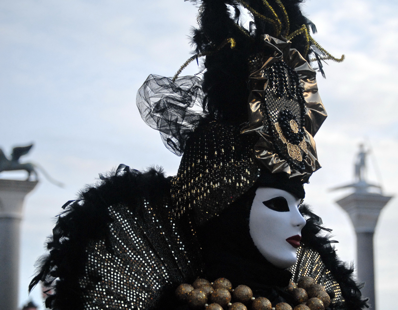 Carnevale di Venezia 2011 Maschera fra Colonne